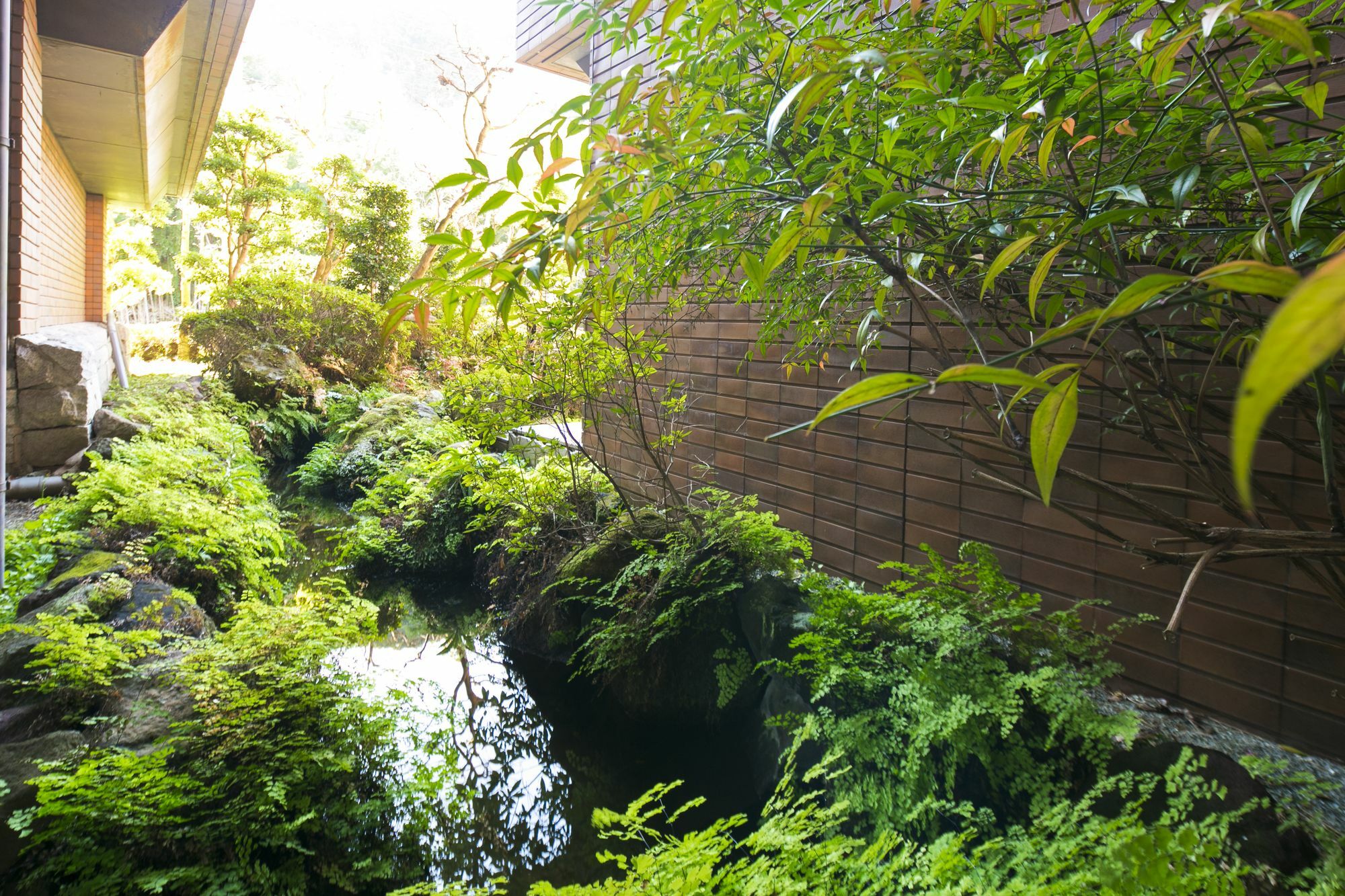 フォレストリゾート 湯の里 杉菜 湯河原町 エクステリア 写真